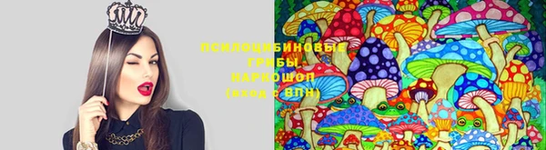 2c-b Абдулино