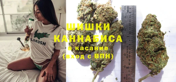 гашик Бикин