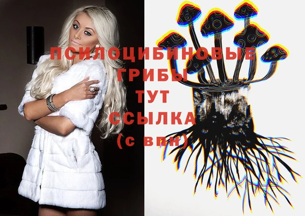 jwh Надым